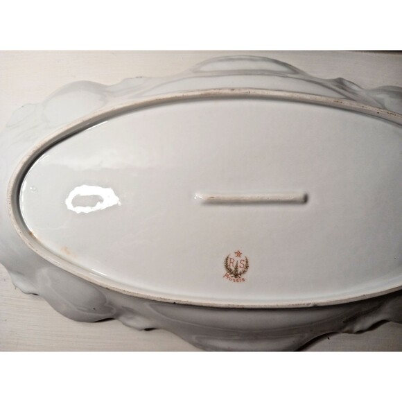 RS Prussia Porcelain Poppies Reflecting Celery Dish Handles Antique Gilded - Picture 5 of 16